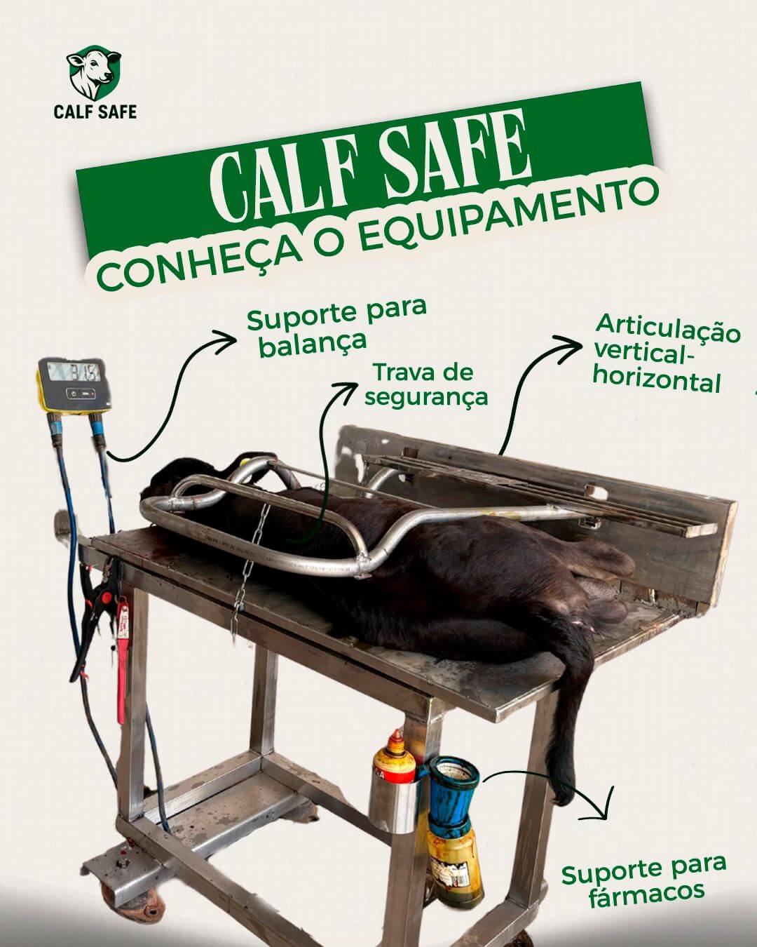 Calf Safe