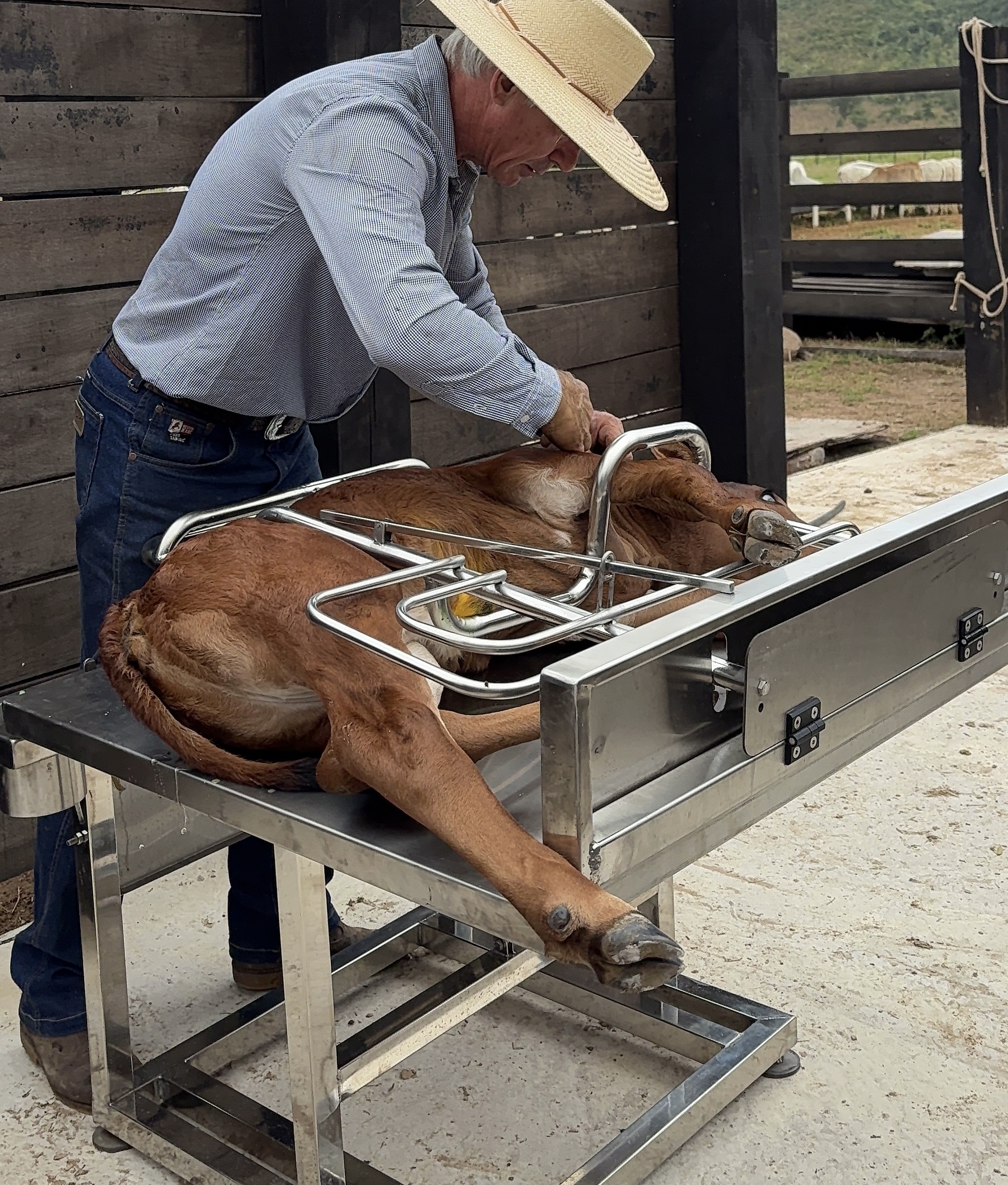 Produto Calf Safe