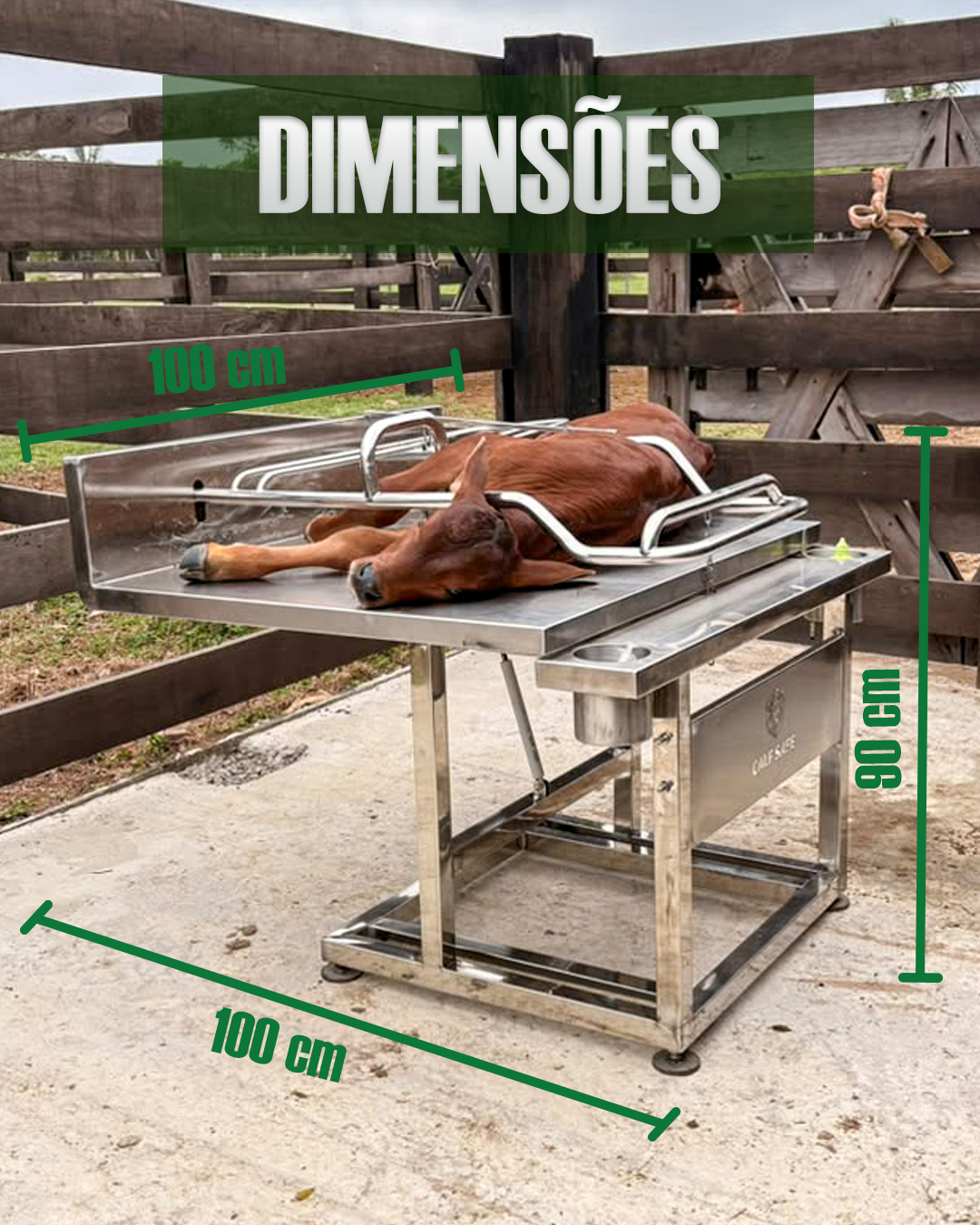 DIMENSÕES